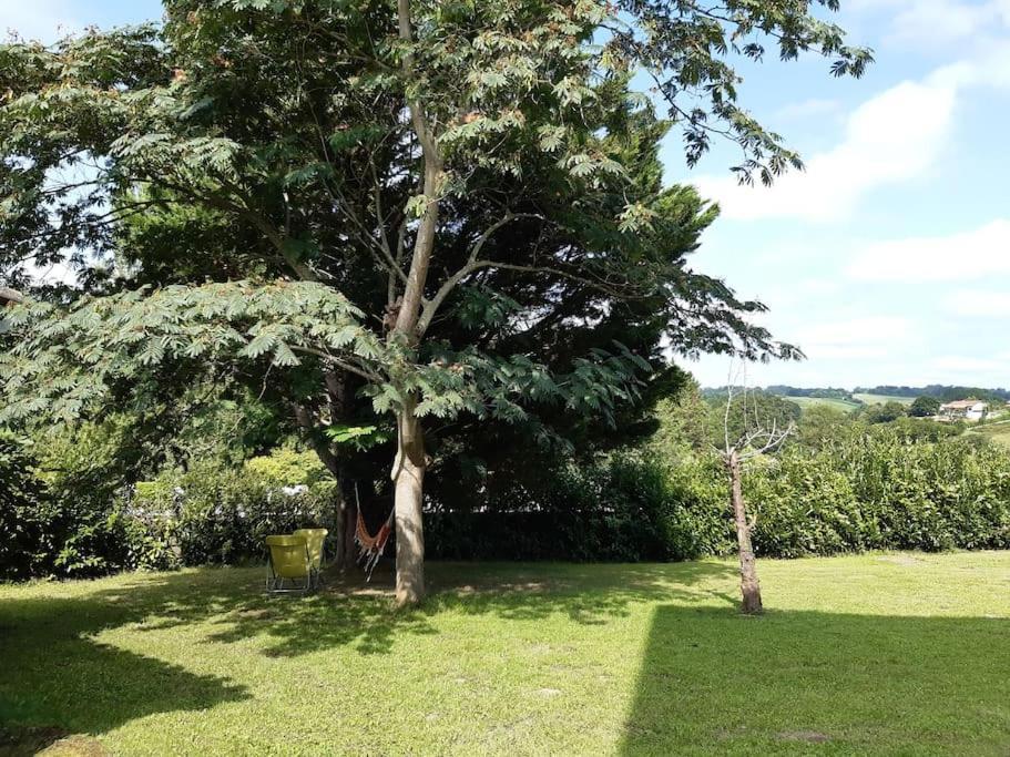 Logement Calme Et Authentique A เอสเพอแลต ภายนอก รูปภาพ
